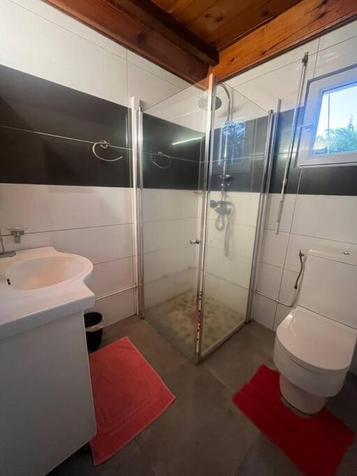 Le Tournesol By Egl Immo Apartman Saint-Pierre Kültér fotó